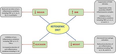 The Effect of Ketogenic Diet on Inflammatory Arthritis and Cardiovascular Health in Rheumatic Conditions: A Mini Review